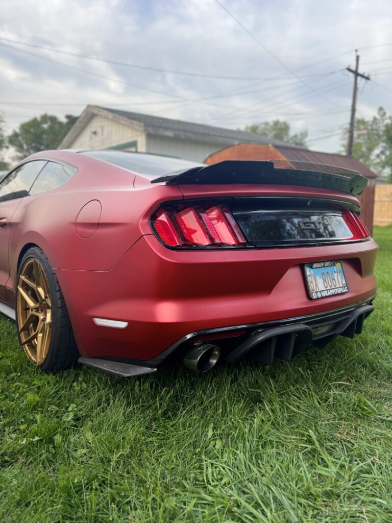 Natalie Ochoa's build