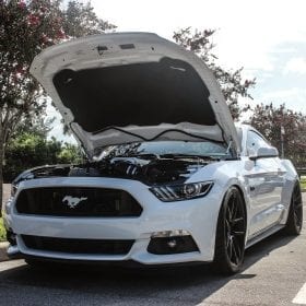 UPR 2015-2013 Ford Mustang GT Emblem Packaged (Color Coded) - Image 1
