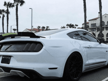 ZL1 CaliforniaSpecial Wickerbill rear