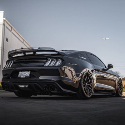 ZL1 Addons 2018-2023 Ford Mustang Performance Pack 1 Wickerbill Wing