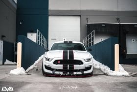 LiquiVinyl 2015-2020 Ford Mustang GT350 Front Splitter (OEM Bumper) Front Splitter - Image 2