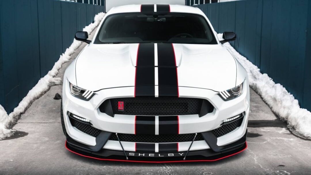 LiquiVinyl 2015-2020 Ford Mustang GT350 Front Splitter (OEM Bumper) Front Splitter