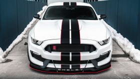 LiquiVinyl 2015-2020 Ford Mustang GT350 Front Splitter (O...