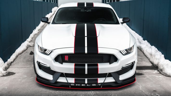 LiquiVinyl 2015-2020 Ford Mustang GT350 Front Splitter (OEM Bumper) Front Splitter