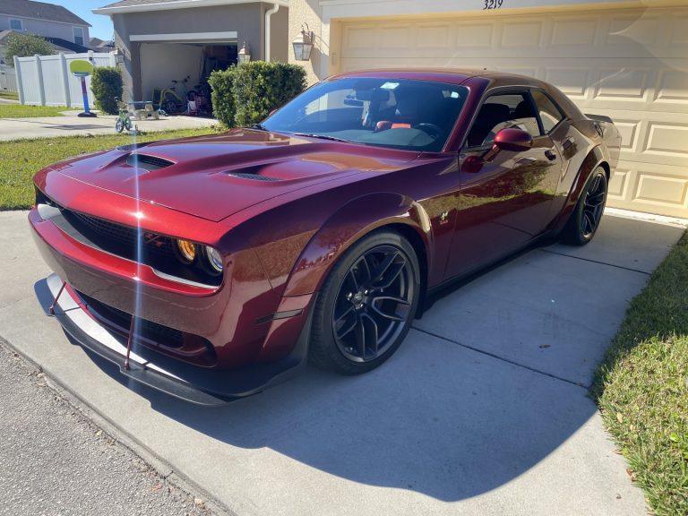 Jose Rivera's build