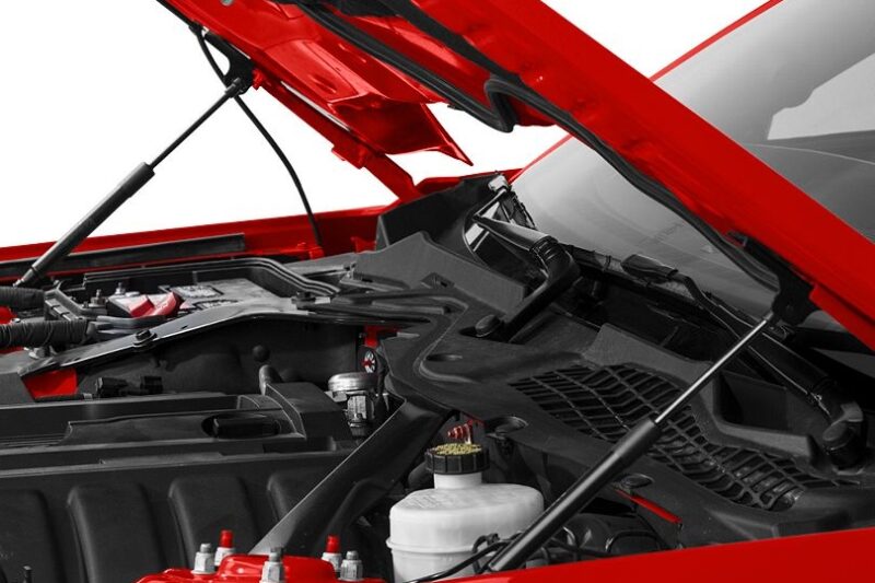 Roush Performance 2015-2023 Ford Mustang Performance Hood Strut Kit