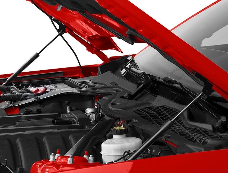 Roush Performance 2015-2023 Ford Mustang Performance Hood Strut Kit