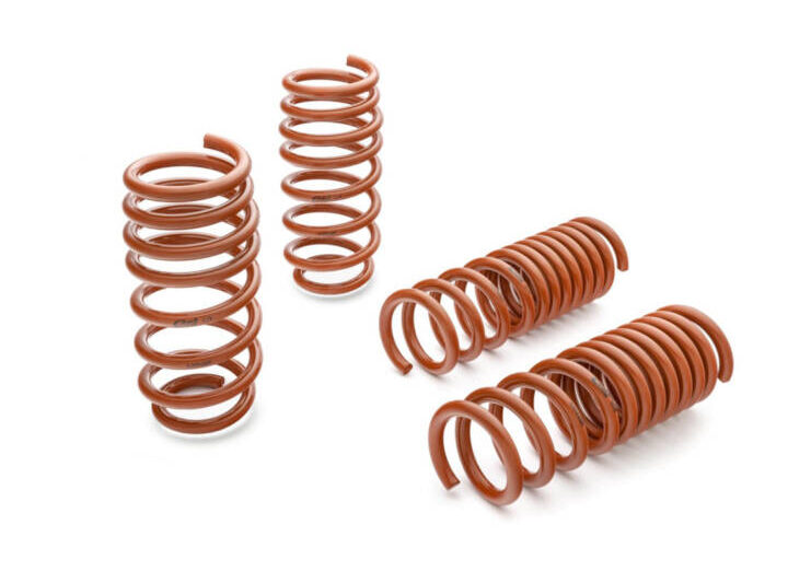 Eibach 2011-2020 Dodge Charger Sportline Lowering Spring Kit
