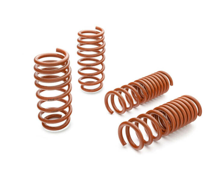 Eibach 2011-2020 Dodge Charger Sportline Lowering Spring Kit