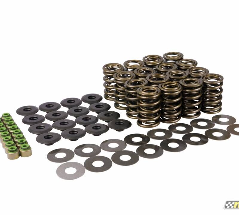 Mountune 2015-2023 Ford Mustang EcoBoost Valve Spring Set