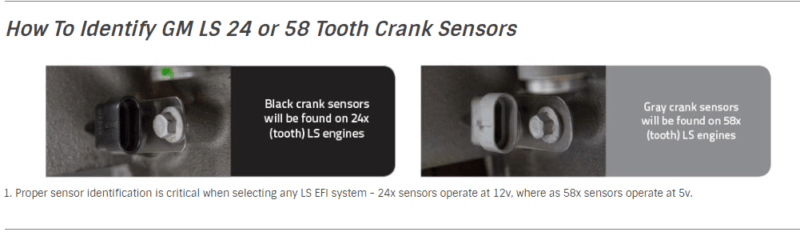 Holley Terminator X Engine Management System - Image 5