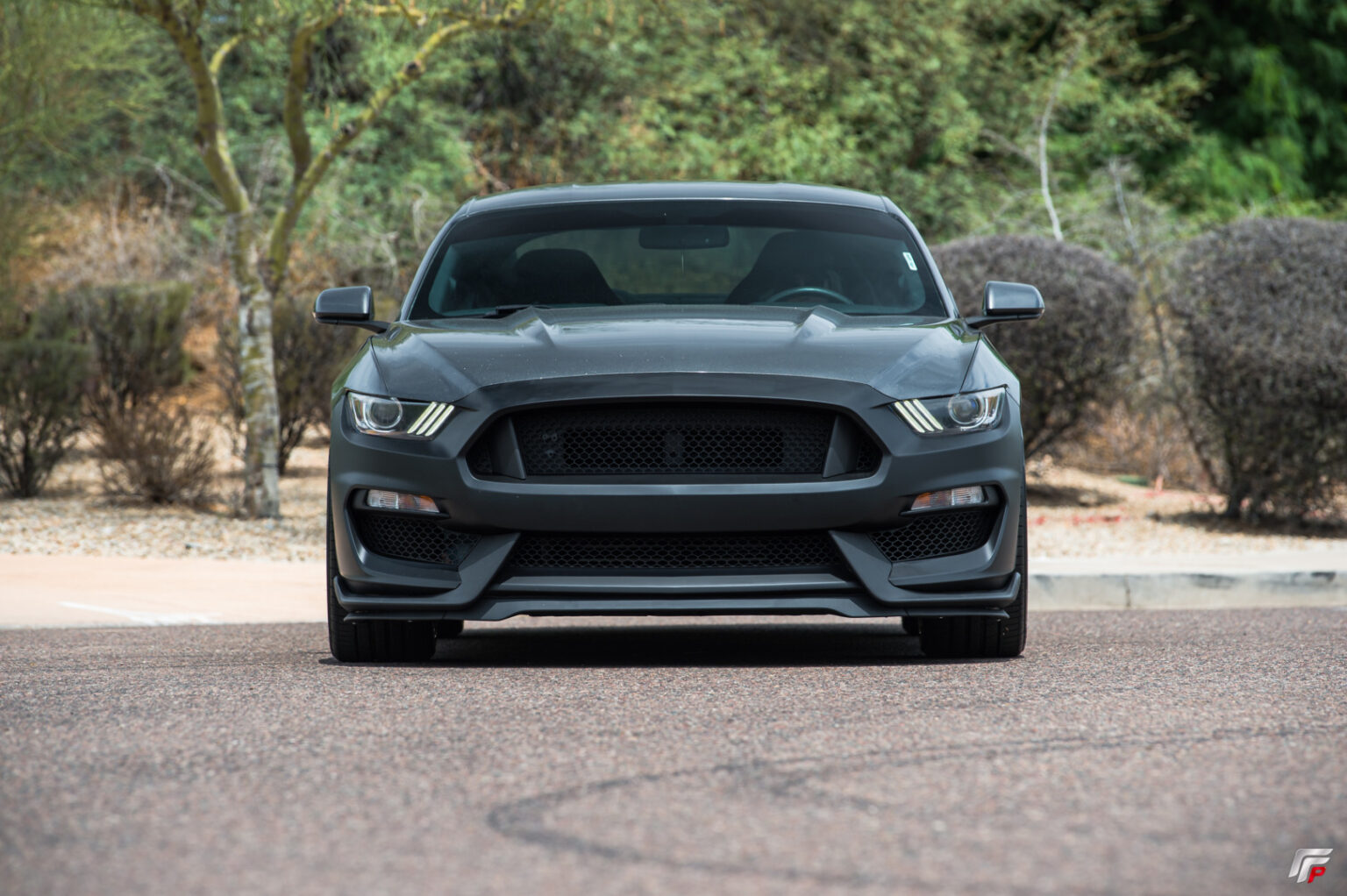 FFP 20152017 Ford Mustang GT350 Style Front Bumper Function Factory