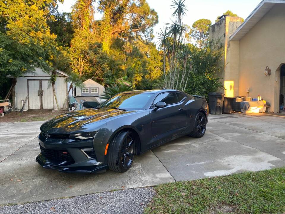 Ken Daraio's build