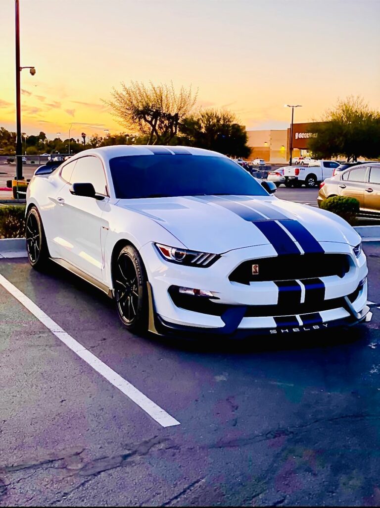 Ryan's build
