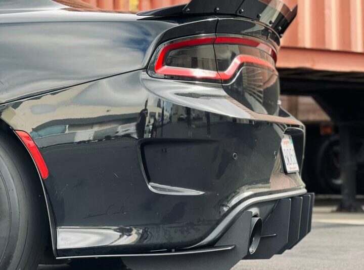 ZL1 Addons 2015-2023 Dodge Charger Stealth Rear Diffuser