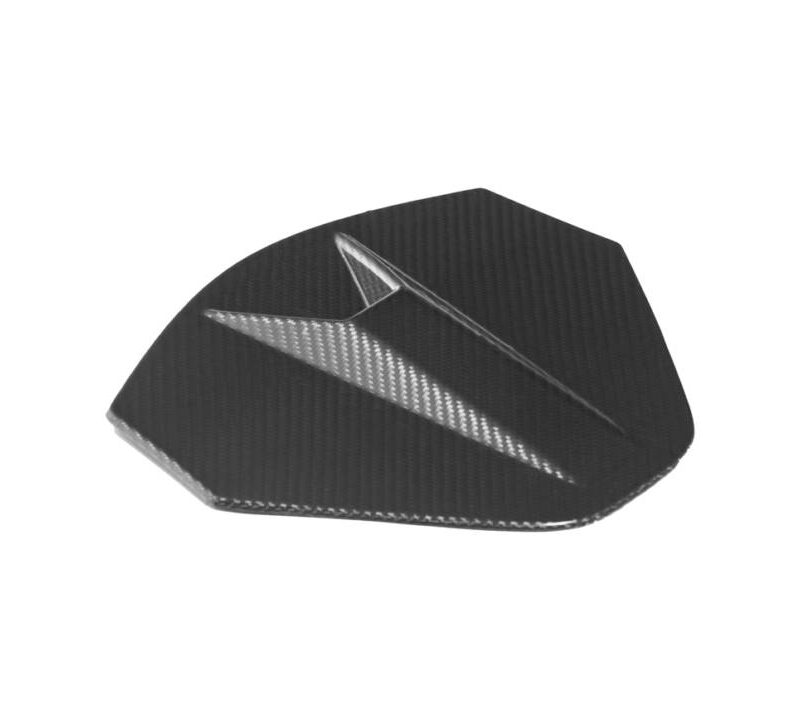 EOS 2020-2024 Chevrolet Corvette C8 Carbon Fiber Decklid Camera Cover