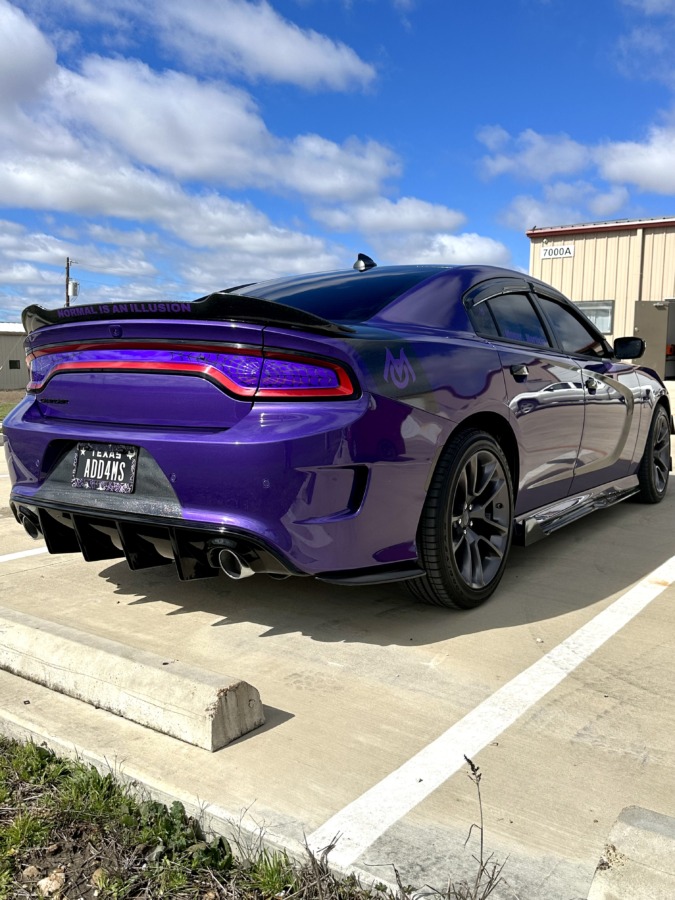 Brandi Meyer's build