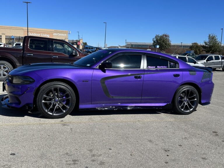 Brandi Meyer's build
