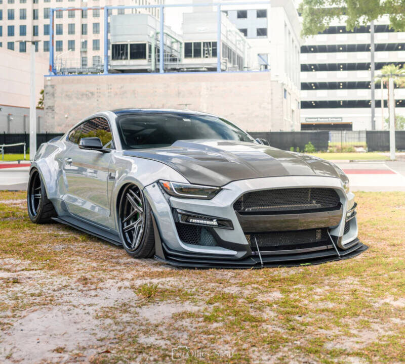LiquiVinyl 2015-2023 Ford Mustang FFP GT500 Bumper Front Splitter