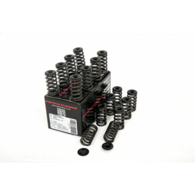 Piper Cams 2013-2019 Ford Fiesta ST Single Valve Spring Kit