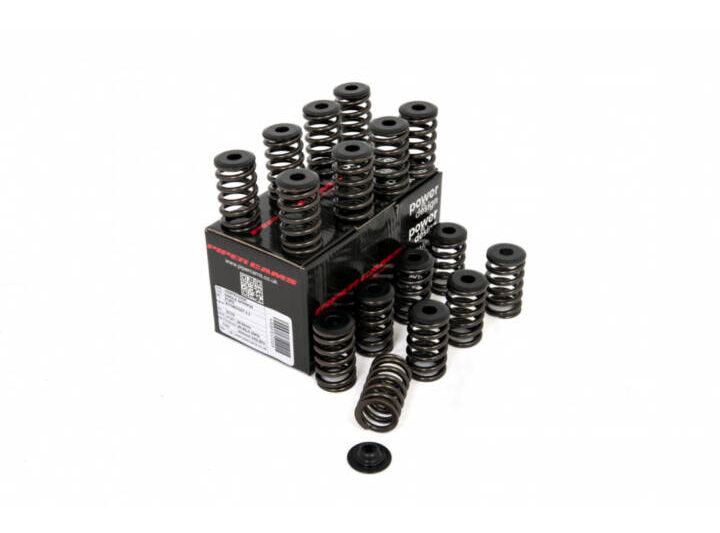 Piper Cams 2015-2023 Ford Mustang Ecoboost Double Valve Spring Kit