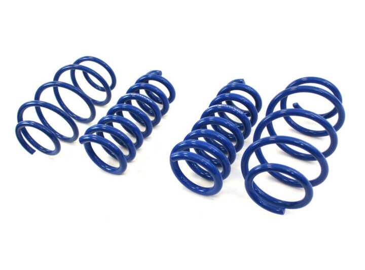 Steeda 2011-2019 Ford Explorer Lowering Springs