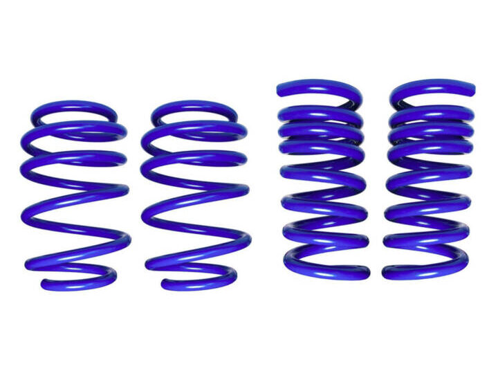 Steeda 2024-2025 Ford Mustang MagneRide Dual Rate Ultimate Handling Lowering Springs