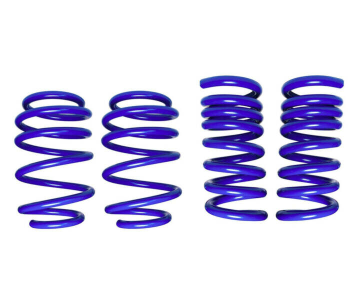 Steeda 2024-2025 Ford Mustang MagneRide Dual Rate Ultimate Handling Lowering Springs