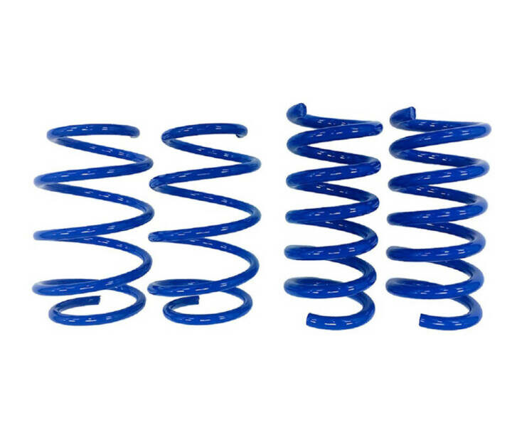 Steeda 2024 Ford Mustang Minimum Drop Lowering Springs- Linear