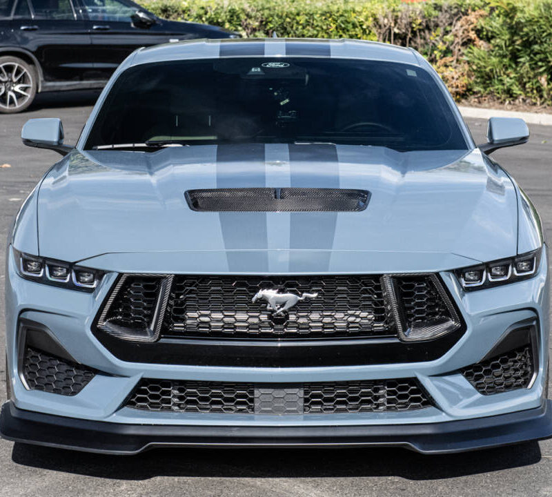 FFP 2024 Ford Mustang GT Carbon Fiber Grille Inserts