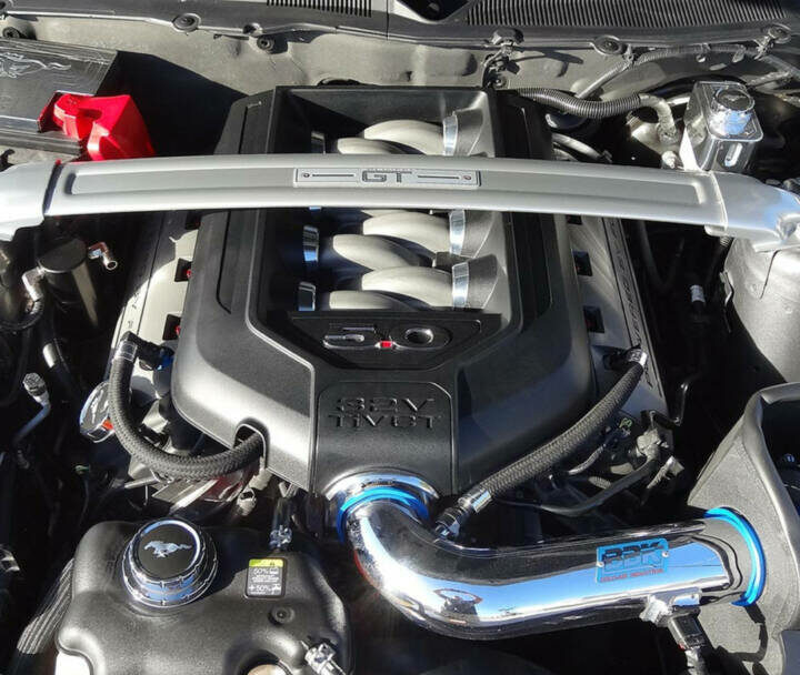 UPR Products 2011-2017 Ford Mustang 5.0 Pro Series Hose