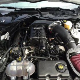 UPR Products 2015-2023 Ford Mustang GT Single Valve TVS VMP Oil Catch Can Plug N Play - Image 2