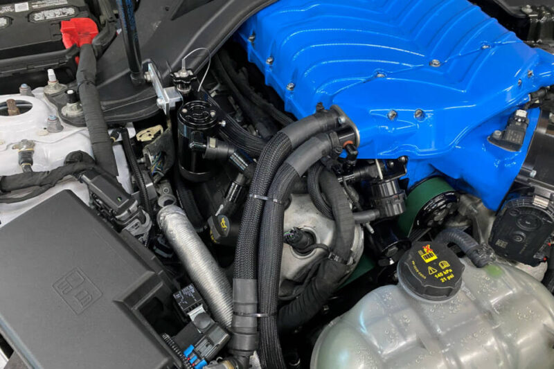 UPR Products 2020-2022 Ford Mustang GT500 5.2L (With Whipple Supercharger) Oil Catch Can Plug N Play Separator