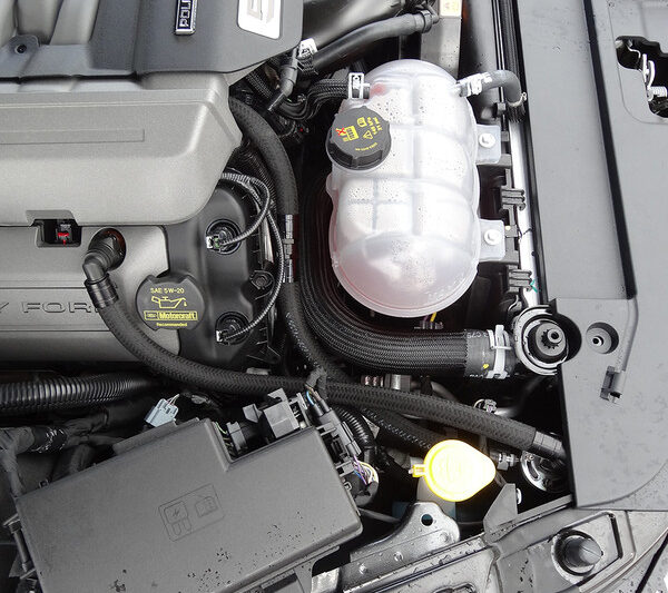 UPR Products 2015-2023 Ford Mustang GT Single Valve Oil Catch Can Separator Plug N Play