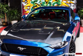 DarwinPro Aerodynamics DarwinPRO Mustang Carbon Fiber Hood for Mustang GT