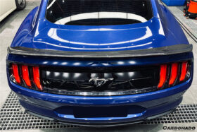 DarwinPro Aerodynamics DarwinPRO Mustang BM Style Carbon Fiber Trunk Spoiler for Mustang EcoBoost - Image 2
