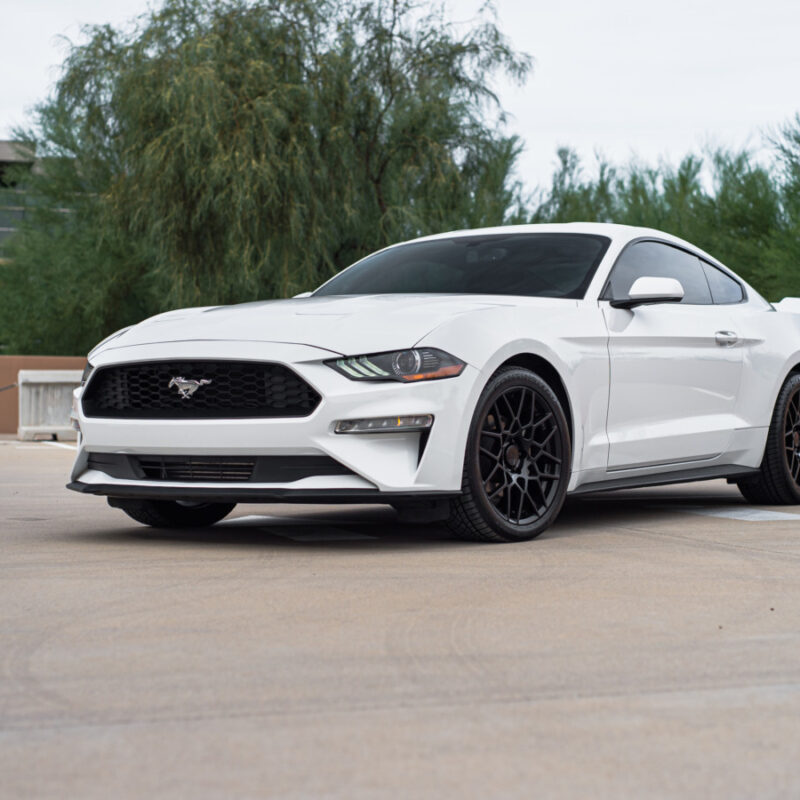 2018-2023 EcoBoost