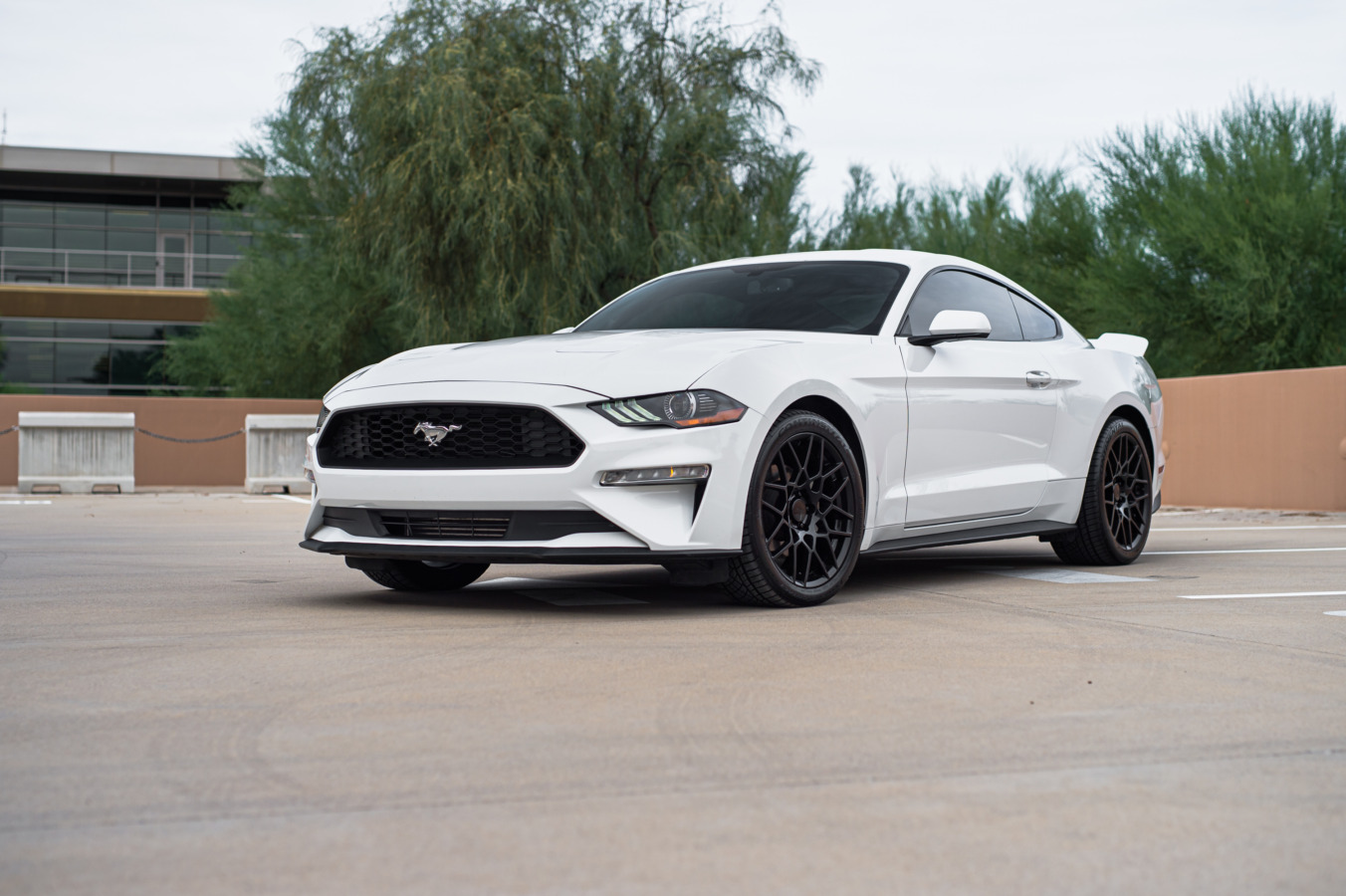 2018-2023 EcoBoost