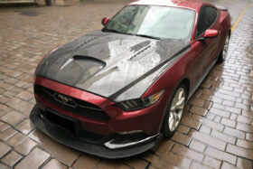 DarwinPro Aerodynamics DarwinPRO Mustang TRU Style Carbon Fiber Hood for Mustang EcoBoost - Image 2