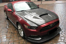 DarwinPro Aerodynamics DarwinPRO Mustang TRU Style Carbon Fiber Hood for Mustang EcoBoost - Image 3
