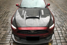 DarwinPro Aerodynamics DarwinPRO Mustang TRU Style Carbon Fiber Hood for Mustang EcoBoost