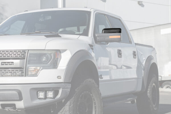 FFP 2009-2014 Ford F-150 Side Mirror Carbon Fiber Cover