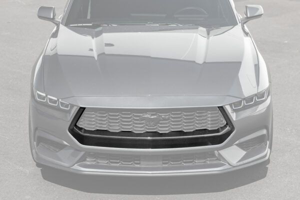 FFP 2024-2026 Ford Mustang Center Grille Lower Carbon Fiber Trim Frame