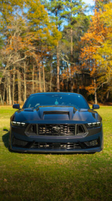 MAZ 2024-2026 Ford Mustang S650 Double Sided Carbon Hood