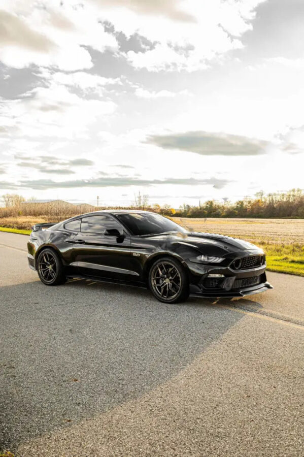 Alternative view of Mustang Mach 1 Style Bumper