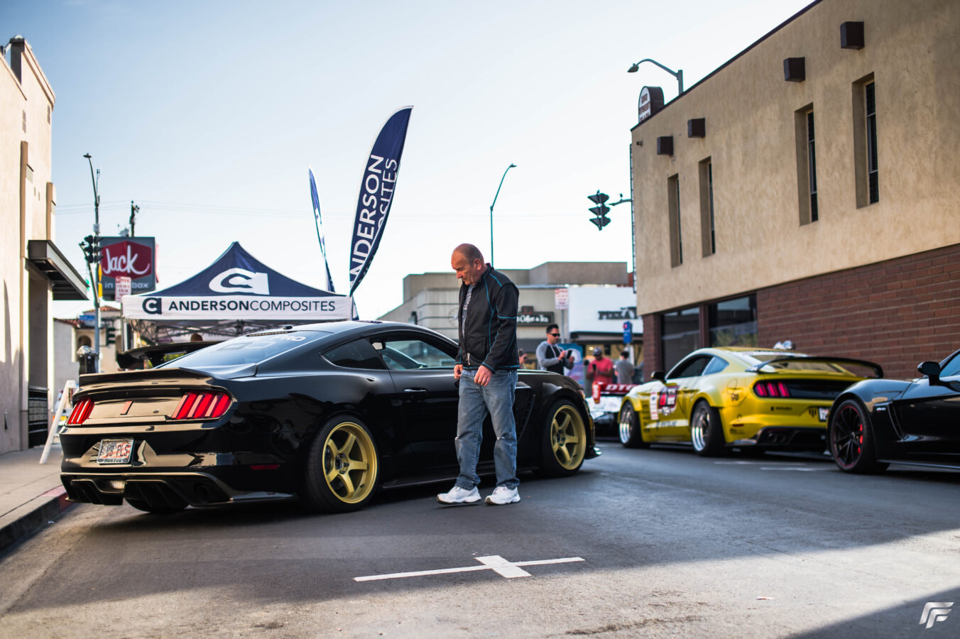 Anderson Composites Carbon Fiber