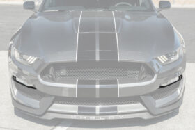 FFP 2015-2020 Ford Mustang Shelby GT350 Dry Carbon Fiber Front Fog Light Eyebrow Cover