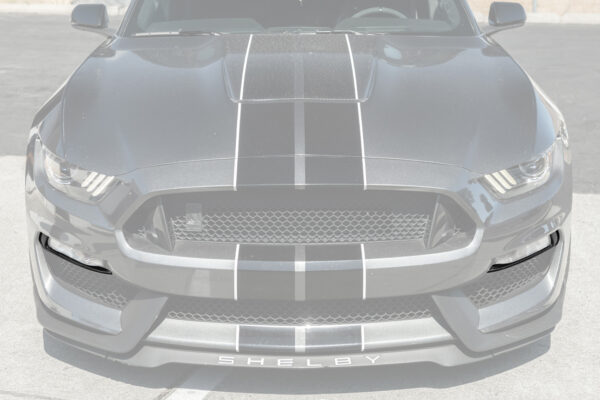 FFP 2015-2020 Ford Mustang Shelby GT350 Dry Carbon Fiber Front Fog Light Eyebrow Cover