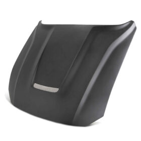 AC 2018-2023 Ford Mustang Type-GR (GT350 Style) Fiberglass Hood