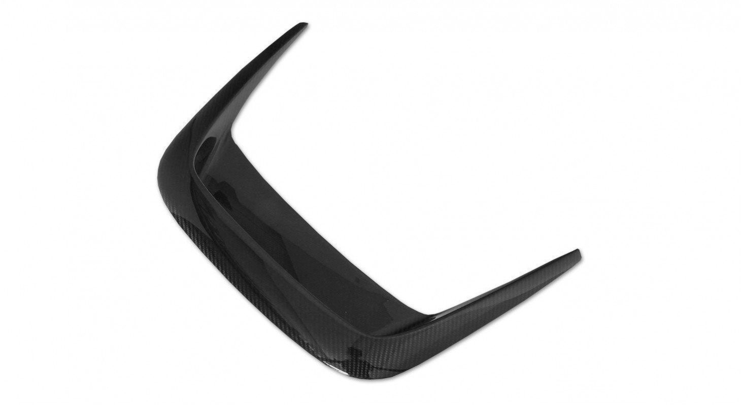 NOVITEC N-Largo Carbon Engine Bonnet Insert Ferrari F12